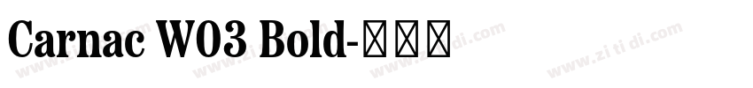 Carnac W03 Bold字体转换